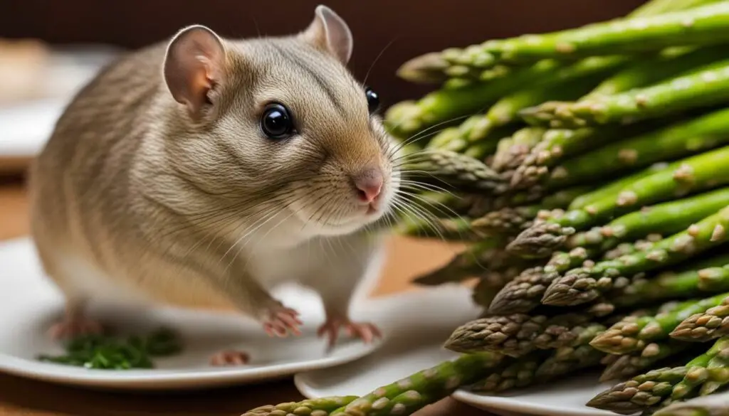 Can Gerbils Eat Asparagus