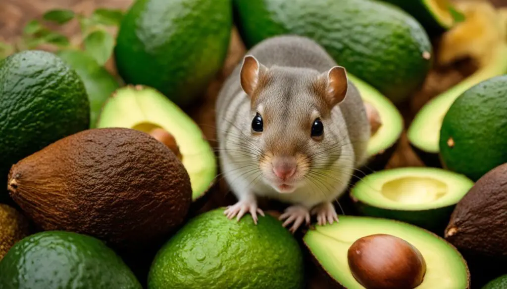 Can Gerbils Eat Avocado