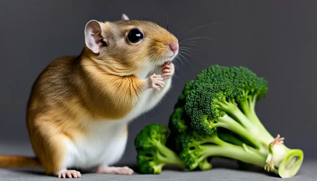 Can Gerbils Eat Broccoli Stems