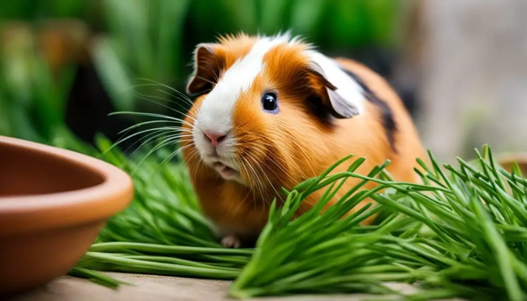 Can Guinea Pigs Eat Chives