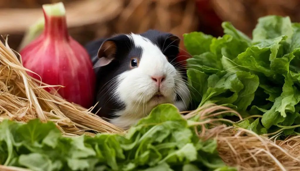 Can Guinea Pigs Have Rhubarb